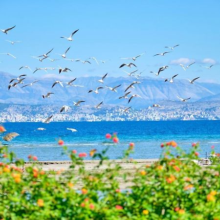 Nikos Kalamaki Corfu Apraos Exteriör bild